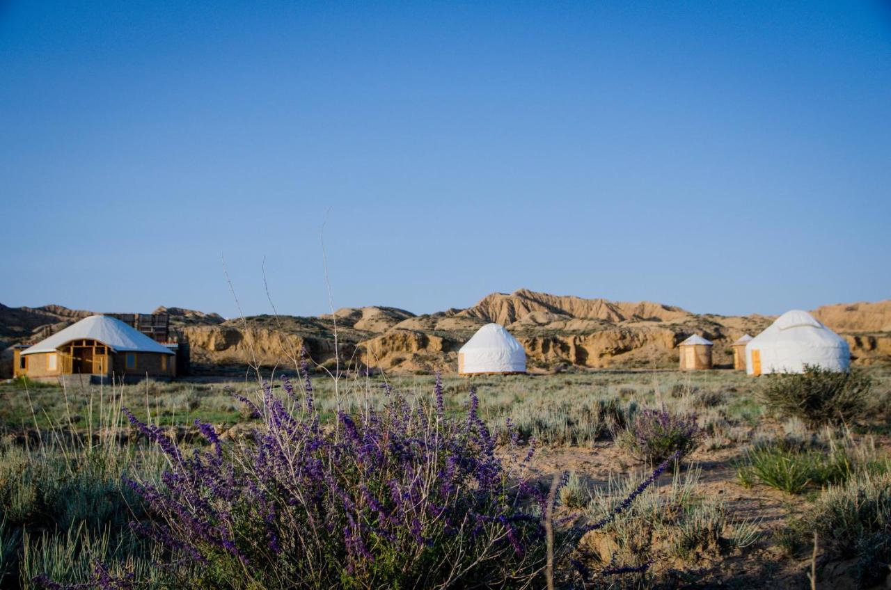 Feel Nomad Yurt Camp Hotel Ak-Say Eksteriør billede